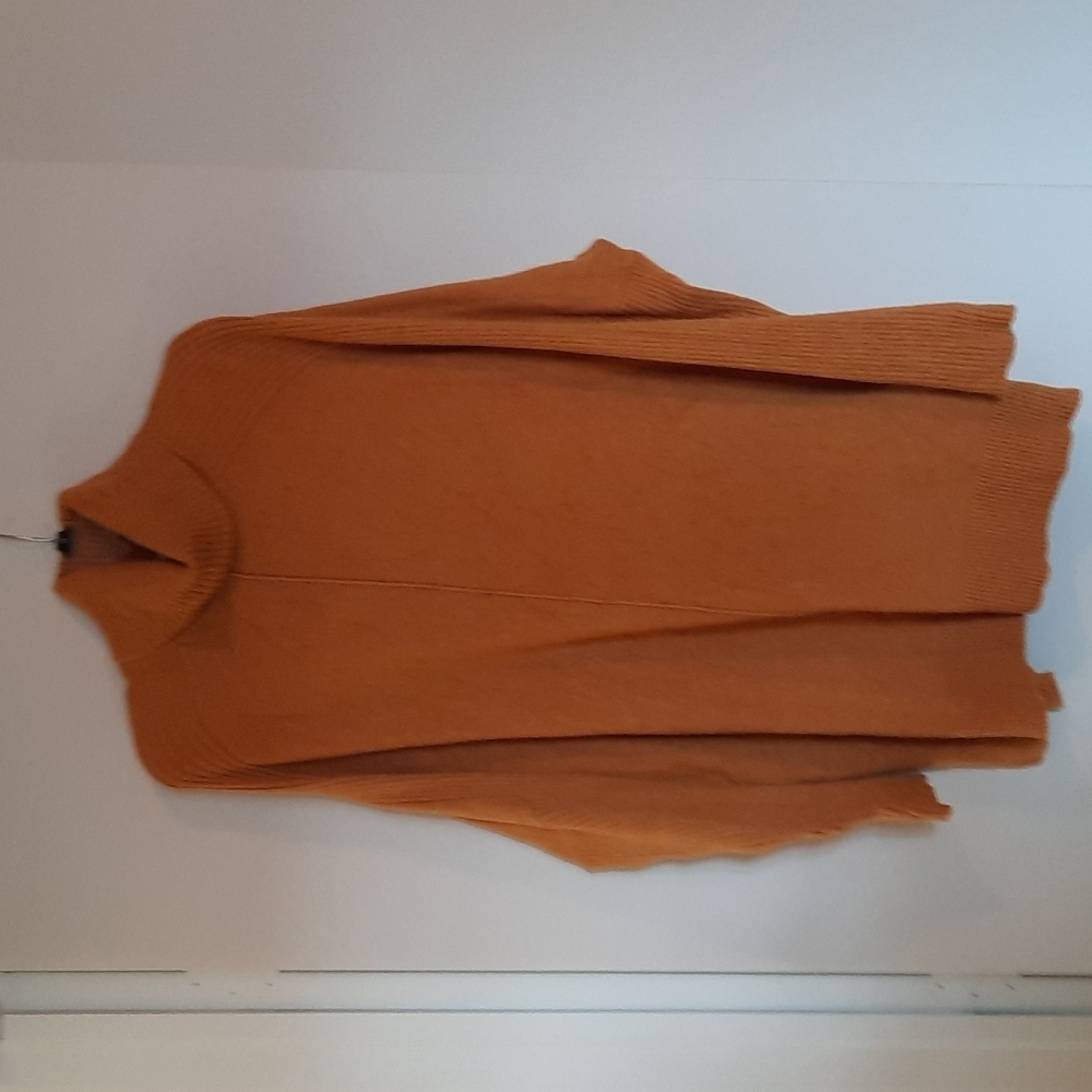 Dark Yellow/Mustard Time and Tru Turtle Sweater